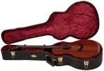 Taylor C14ce B4002