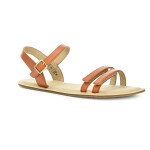 Be Lenka Summer 2.0 Brown