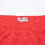 Mitchell & Ness Pánské kraťasy Milwaukee Bucks NBA 2008-09 Swingman Shorts Velikost: XL