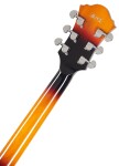 Ibanez AF75 Brown Sunburst