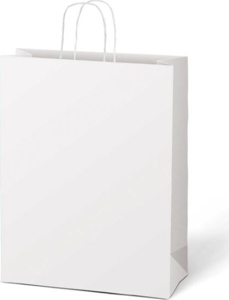 Taška dárková T10 kraft 310x450x140 bílá