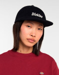 Dickies Williston Cap Night Sky