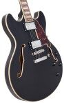 D'Angelico Premier DC Black