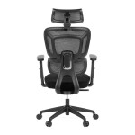 Kancelářská židle, synchronní mechanismus, černá síťovina, KA-Y358 BK