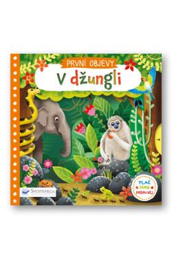Džungli