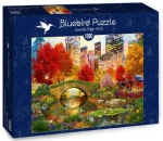 BLUEBIRD Puzzle Central Park, New York