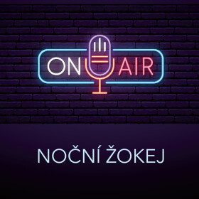 Noční žokej - Antonín Přidal - audiokniha