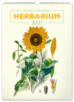 Nástěnný kalendář 2027 Notique Vintage herbář, 33 × 46 cm
