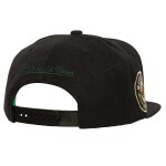 Mitchell & Ness Pánská Kšiltovka Minnesota Wild NHL Triple Play Snapback Wild