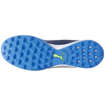 Kopačky Puma King Match TT M 107260 02 40