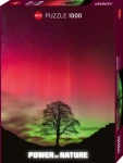 HEYE Puzzle Power of Nature: Sycamore Gap