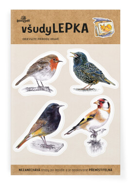 VšudyLEPKA vel. 1 -042 - Ptáci na krmítku