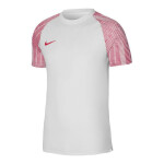 Pánské tričko Dri-Fit Academy SS DH8031-100 Nike