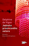 Jednoho prosincového večera - Delphine de Vigan