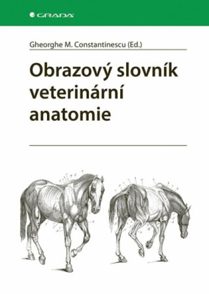 Obrazový slovník veterinární anatomie - Constantinescu M. Gheorghe