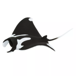 Safari Ltd. Safari Ltd. Figurka - Manta