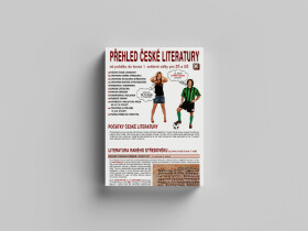 Přehled české literatury