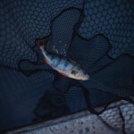 Zeck Přívlačový podběrák Folding Rubber Net M,Zeck Přívlačový podběrák Folding Rubber Net M