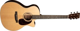 Martin GPC-16E