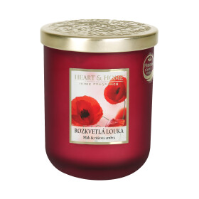 Velká svíčka - Rozkvetlá louka - Albi