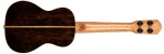 Ortega RUET-ZC