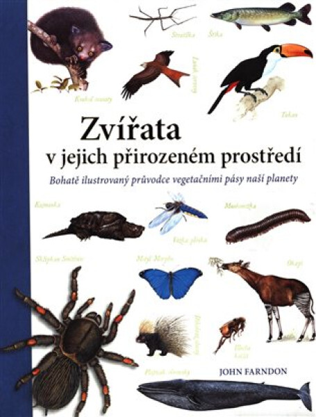 Zvířata jejich přirozeném prostředí