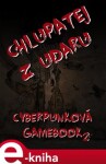 Chlupatej z Udaru. Cyberpunková gamebook - Martin Koláček e-kniha