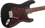 Fender MIJ LE Raw Ash Stratocaster BLK
