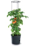 Květináč na pěstování rajčat TOMATO GROWER antracit 39,2cm