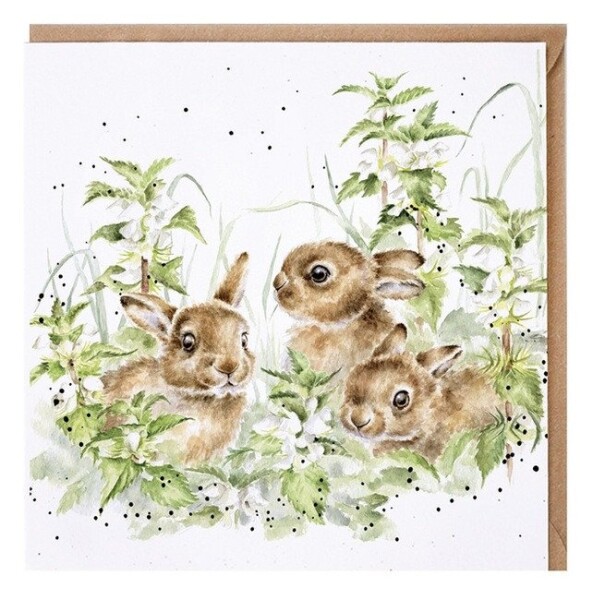 Přání Wrendale Designs Spring Hares, 15x15 cm - Zajíci