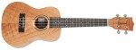 Tanglewood TWT 6