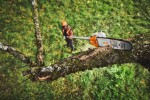 Aku teleskopická vyvětvovací pila STIHL HTA 110