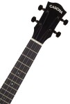 Cascha HH 2311 Tenor Acacia Ukulele Bundle