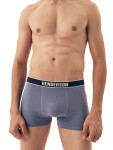 Pánské boxerky 5 pack 42704 Soon - HENDERSON vícebarevná L