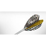 Brány Vírové peří 9014