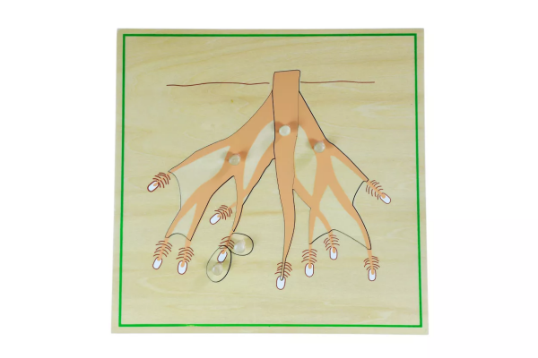 Moyo Montessori Moyo Montessori Puzzle - kořen