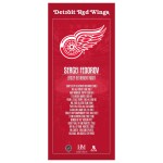 Obraz Detroit Red Wings NHL Sergei Fedorov Retirement Night Ticket 3D Block Art