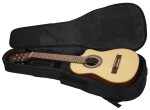 Ortega RQ38