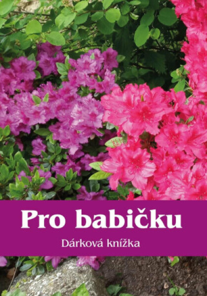 Pro babičku Dárková knížka