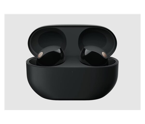 Sony bezdrátová sluchátka WF-1000XM5, černá, EU EDF_1289876