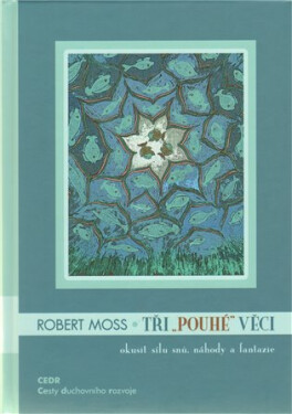 Tři "pouhé" věci - Robert Moss