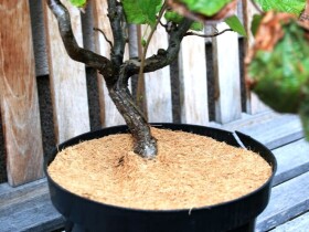 Kokosový disk – Coir Fiber Ring 1000 g/m², ø 40 cm