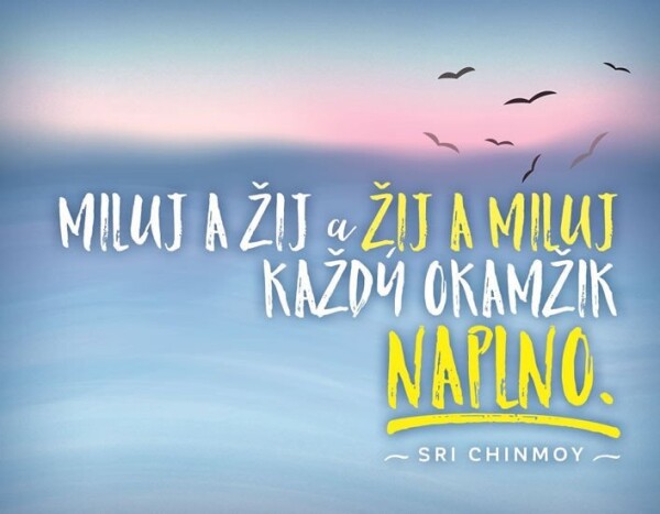 Magnet na lednici - Miluj a žij a žij a miluj každý okamžik naplno - Sri Chinmoy