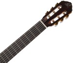 Ortega R20GWN