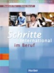 Schritte international im Beruf: Deutsch für ... Ihren Beruf - Bosch, Gloria; Dahmen, Kristine; Haas, Ulrike