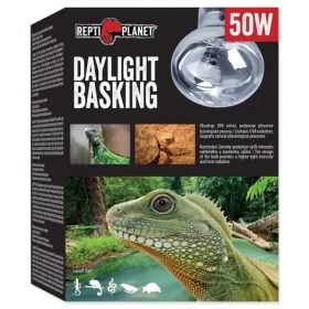 Repti Planet žárovka Daylight Basking Spot 50W (007-41002)