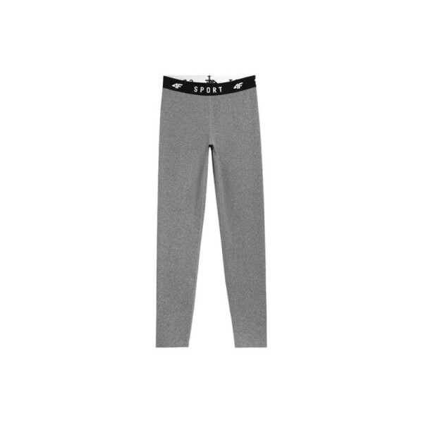 Dámské kalhoty grey melange 4F