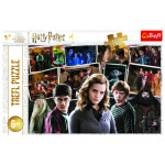 Trefl Puzzle Harry Potter s přáteli 160 dílků - Trefl