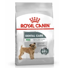 Royal Canin Mini Dental Care 1kg / Granule pro psy (3182550894395)