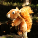 Plyšová veverka 20 cm, ECO-FRIENDLY